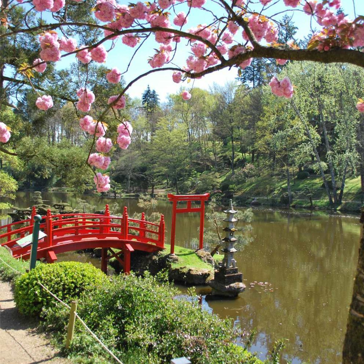 Du sur-mesure pour chaque culture