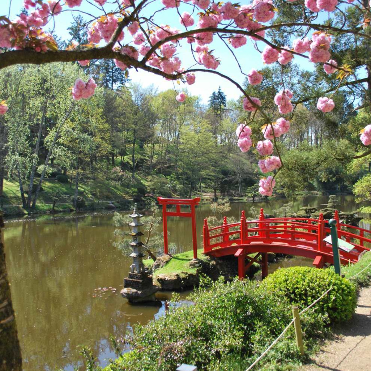 Du sur-mesure pour chaque culture