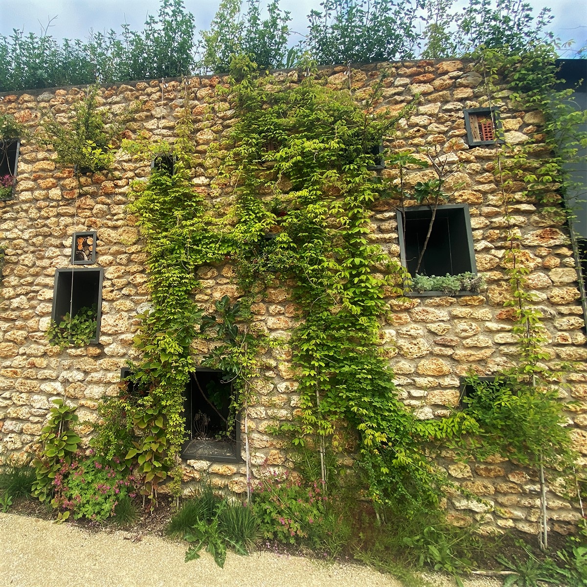 Les fenêtres végétales d'ATECH