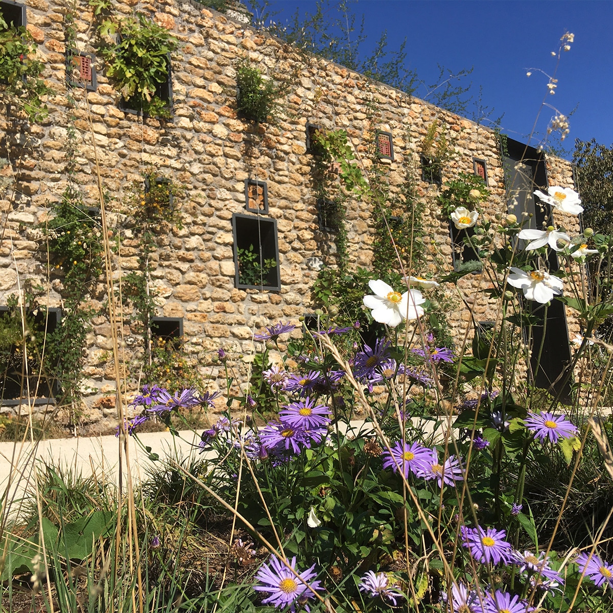 Les fenêtres végétales d’ATECH