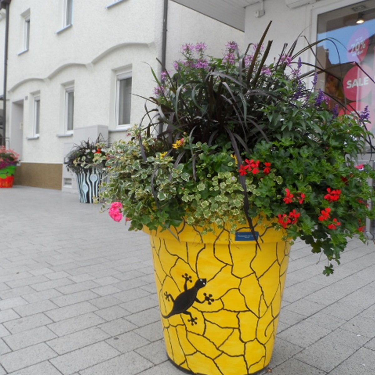 Pots de fleurs Extravase customisés