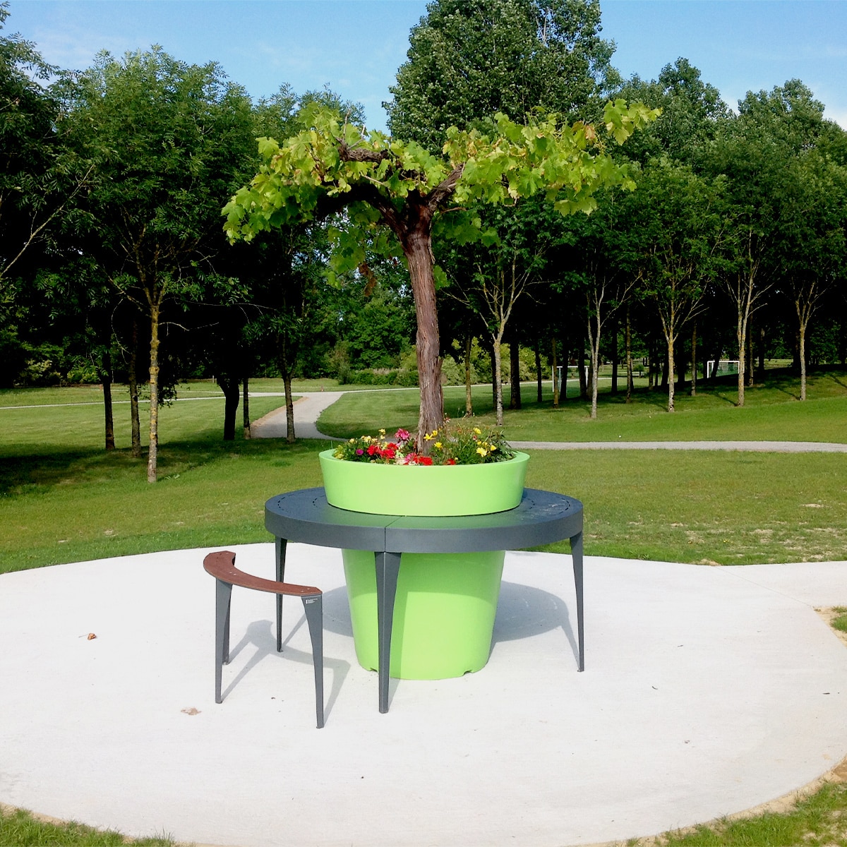 Idées pour l’Aménagement d’un Parc urbain