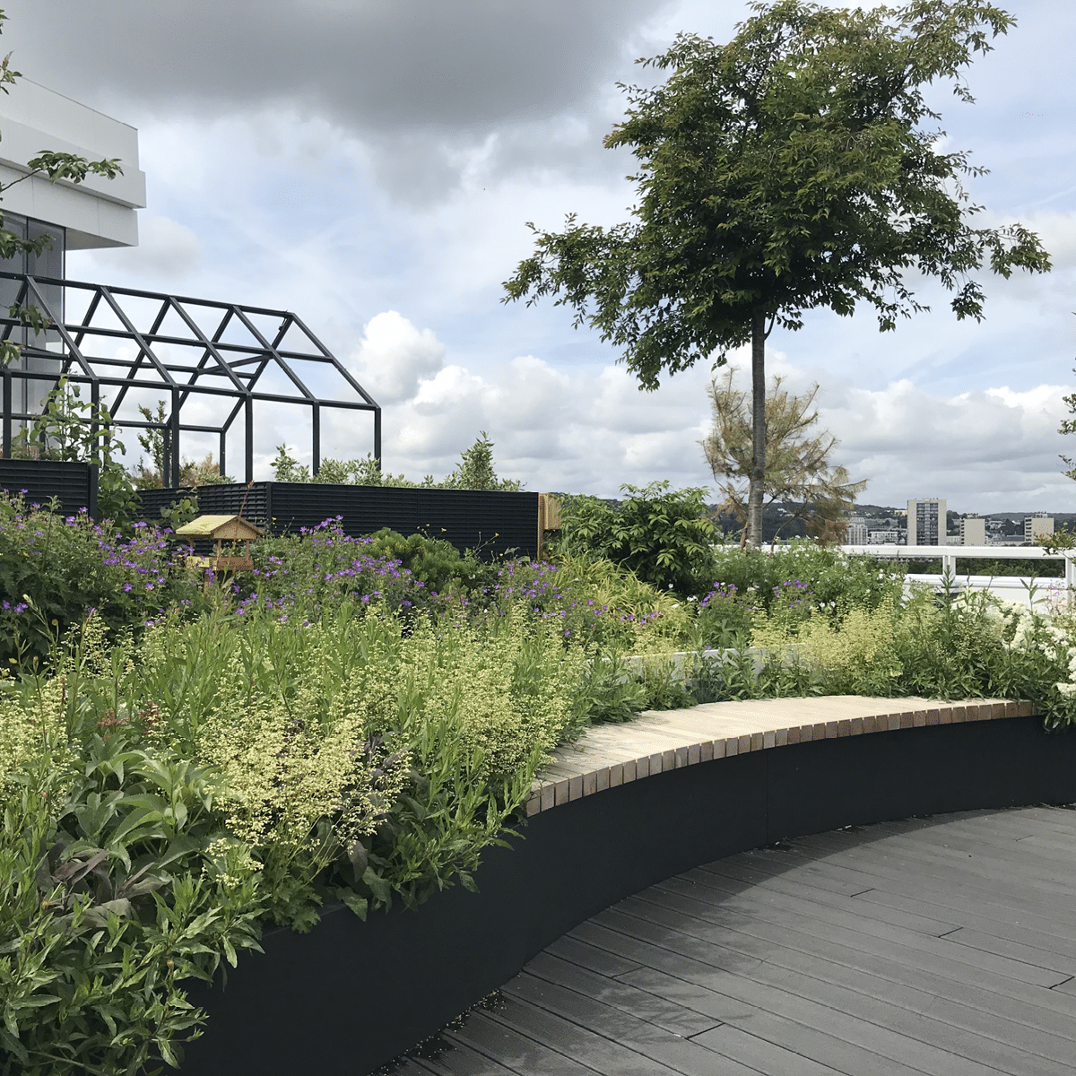 Quand la végétalisation s’installe sur les toits de Paris