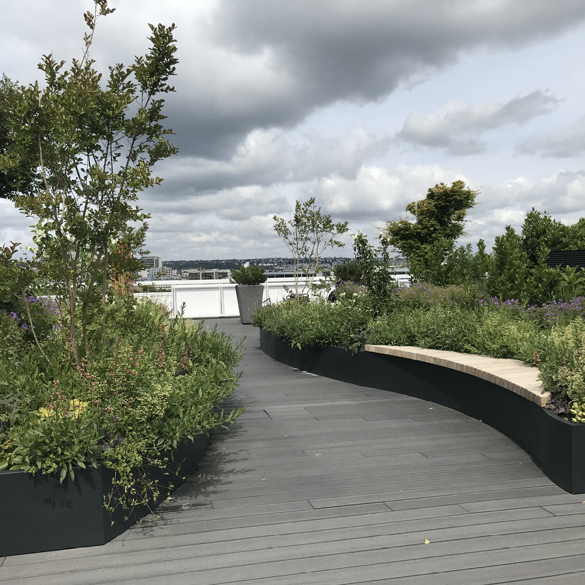 Quand la végétalisation s'installe sur les toits de Paris