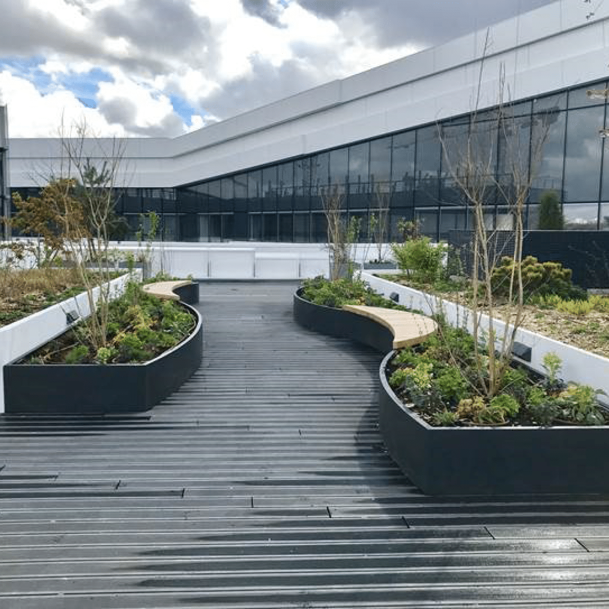 Quand la végétalisation s'installe sur les toits de Paris