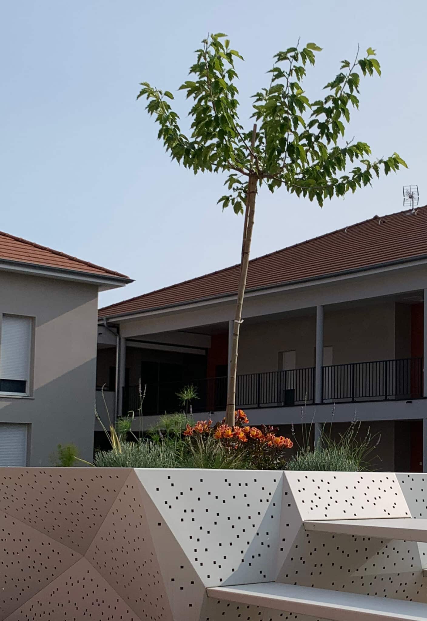 Végétalisation et mobilier pour aménager une cour