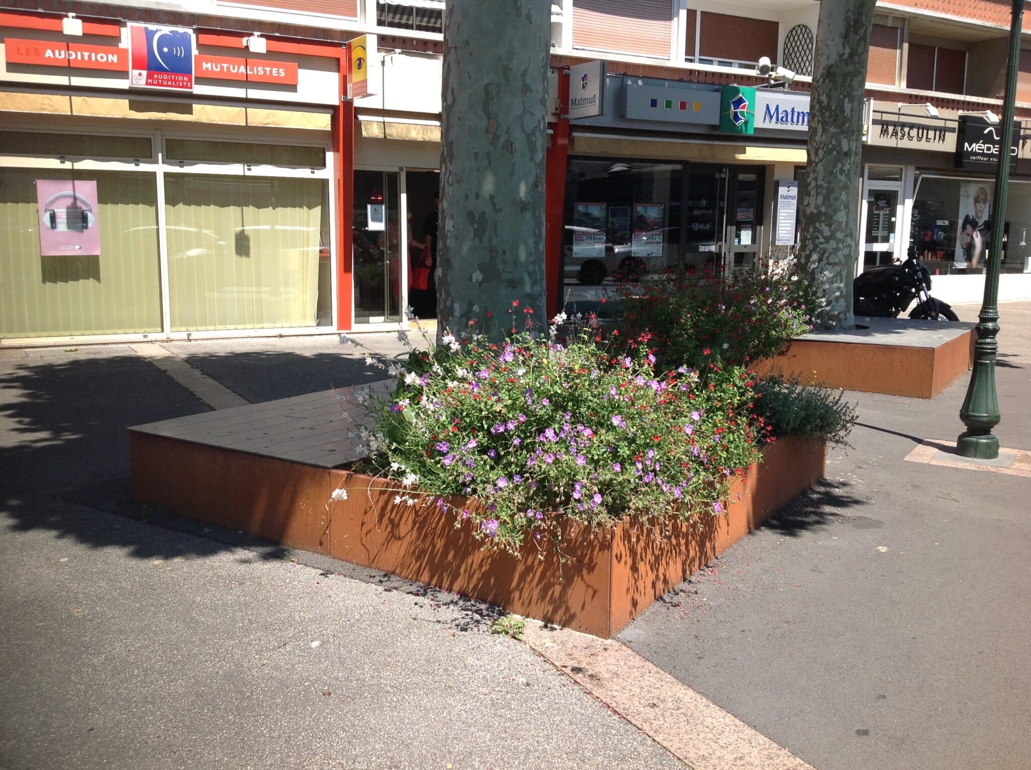 Gestion de pieds d’arbres à Lisieux
