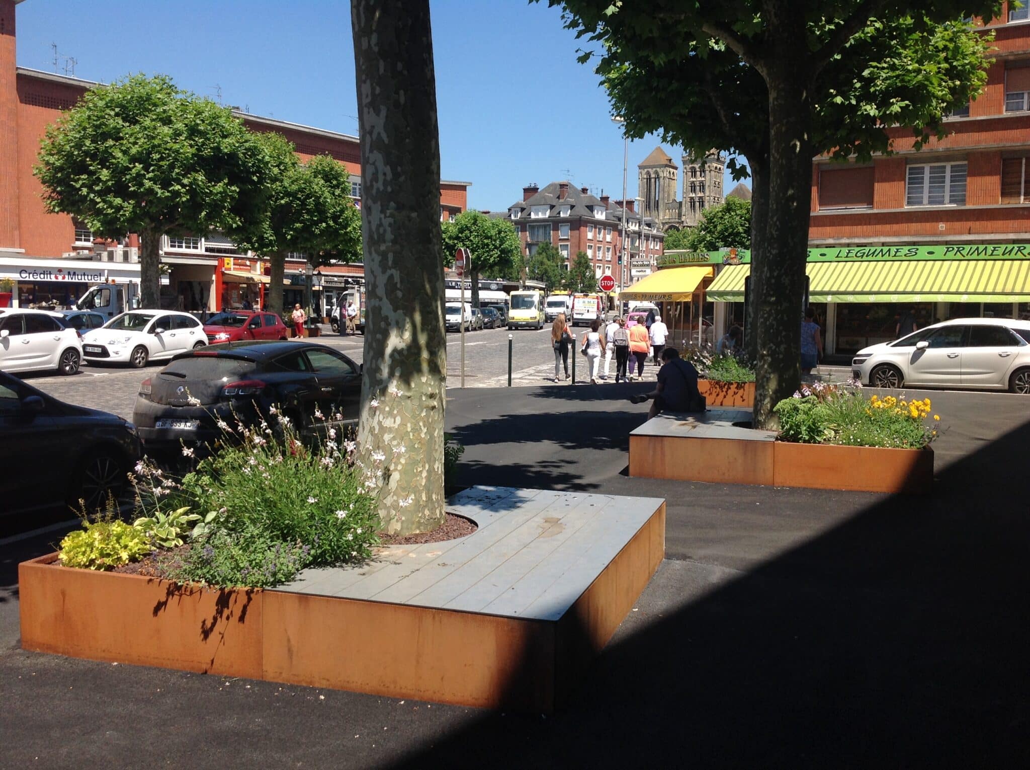 Gestion de pieds d’arbres à Lisieux