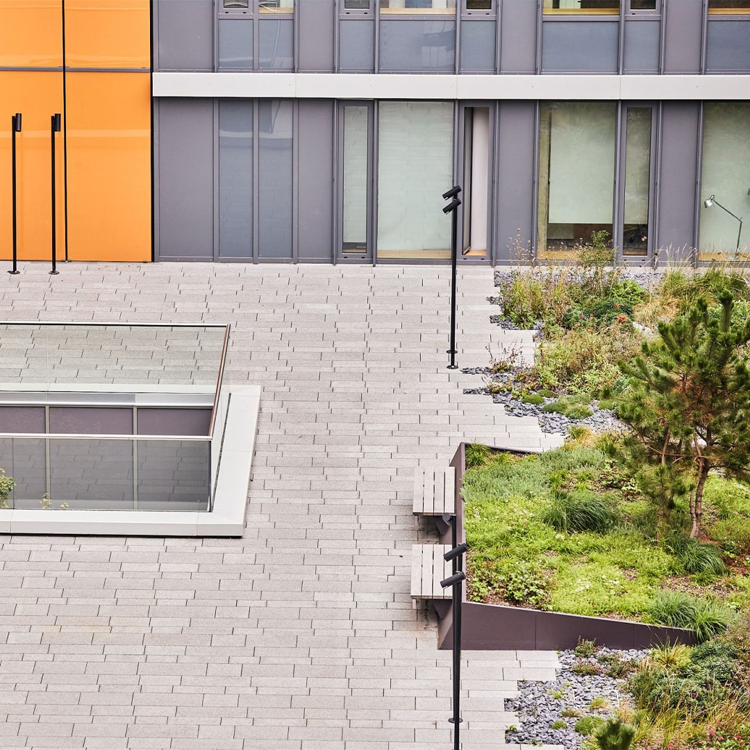 Aménagement de patio végétalisé au parlement européen