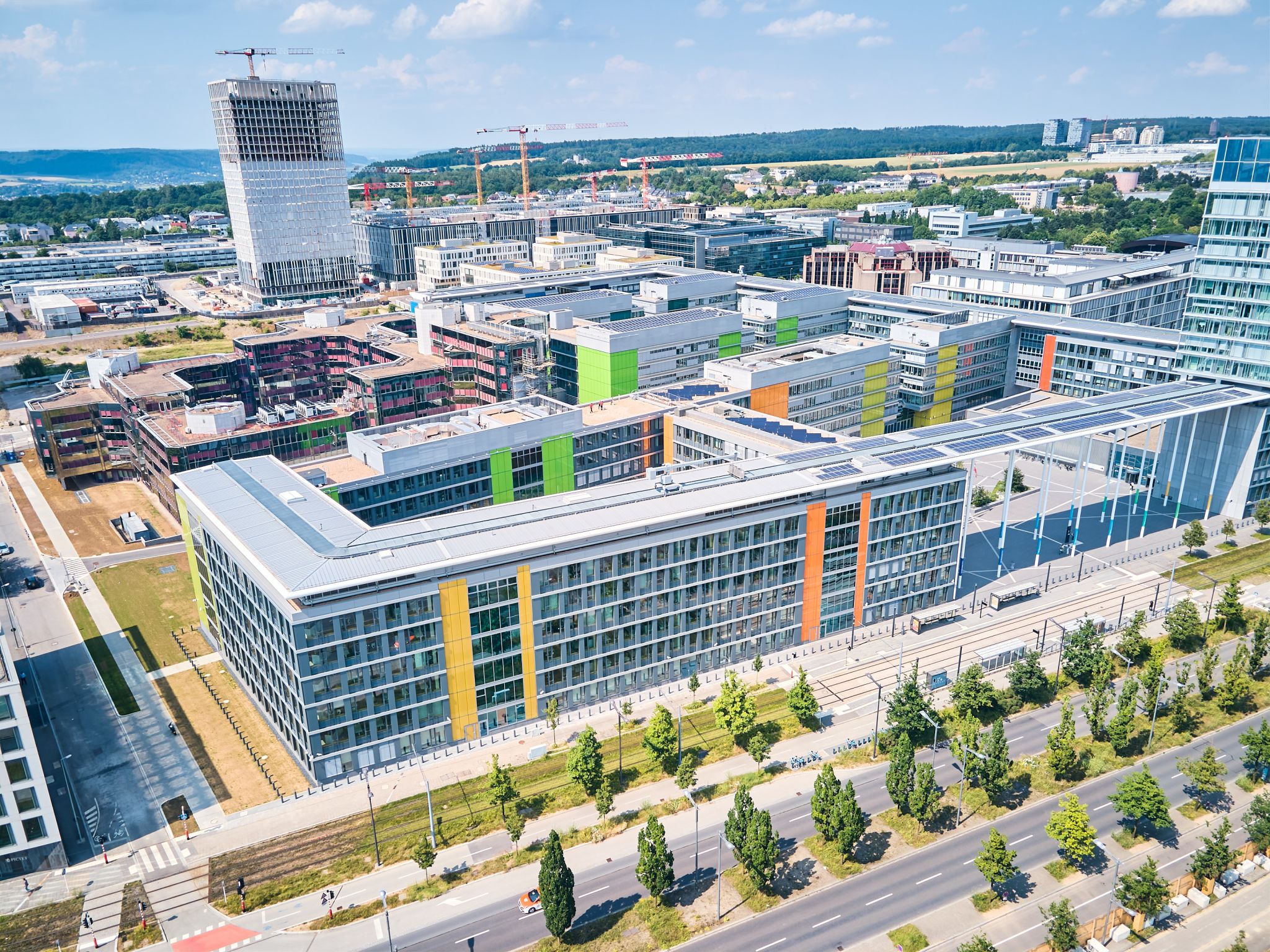 Aménagement de patio végétalisé au parlement européen