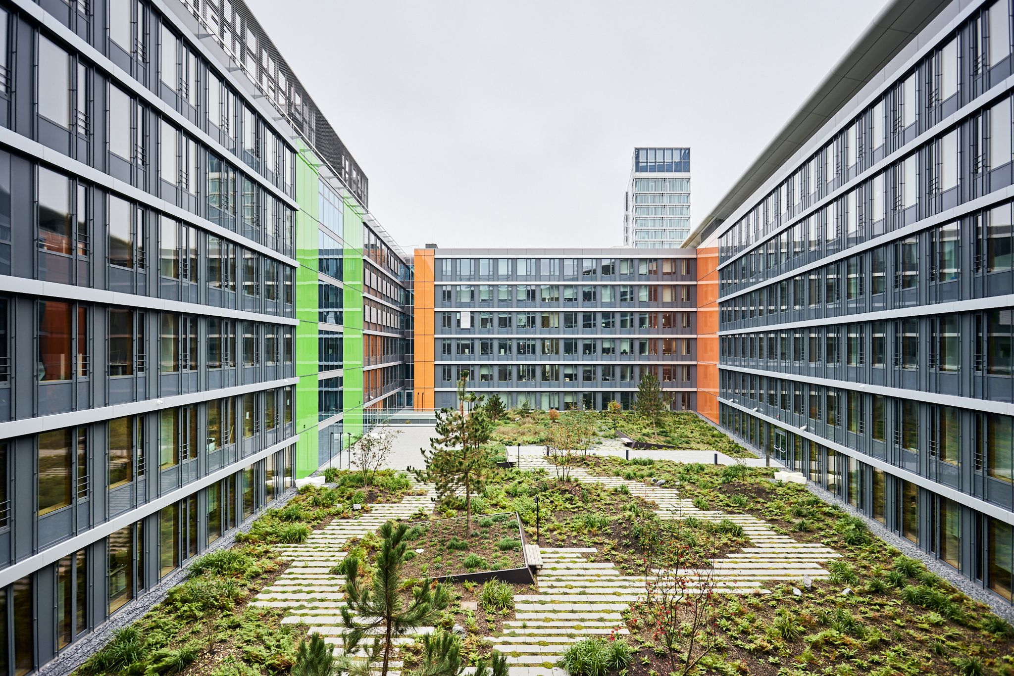 Aménagement de patio végétalisé au parlement européen