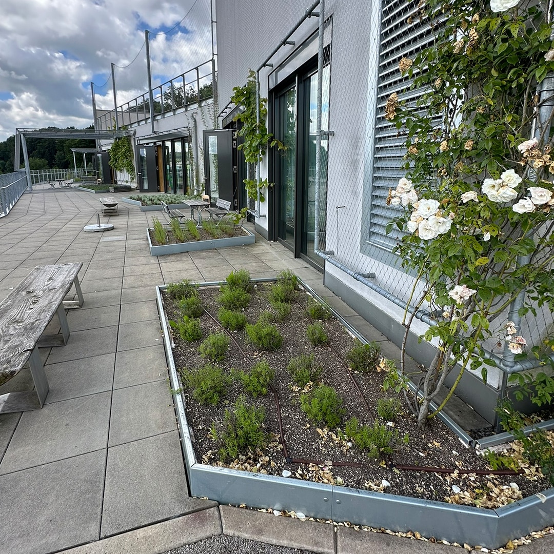 Bacs de plantation en acier galvanisé à la Maison relais Ettelbruck