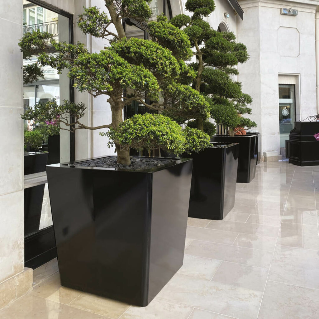 Bac de Fleurissement pour orangers - Cléo