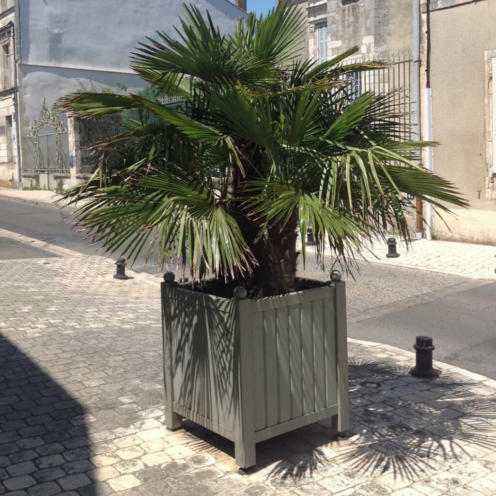 Bac d'Orangerie - DUALIS