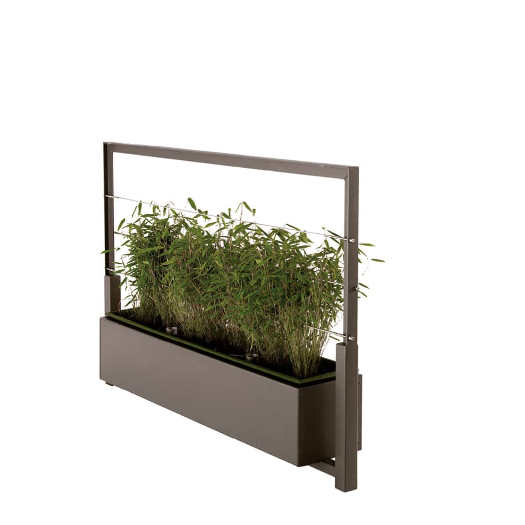 Barrière de Ville – HEDERA