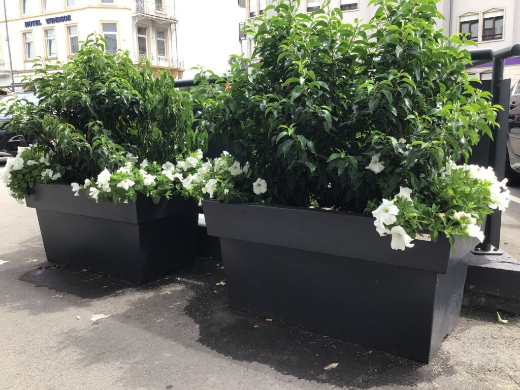 ATECH-Pot-de-fleurs-Rectiligne-MONDORF-LES BAINS-LUXEMBOURG (1)