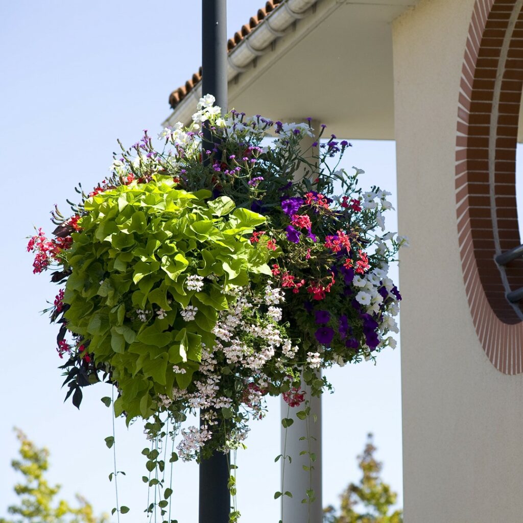 Suspension plastique recyclable - Jiflor