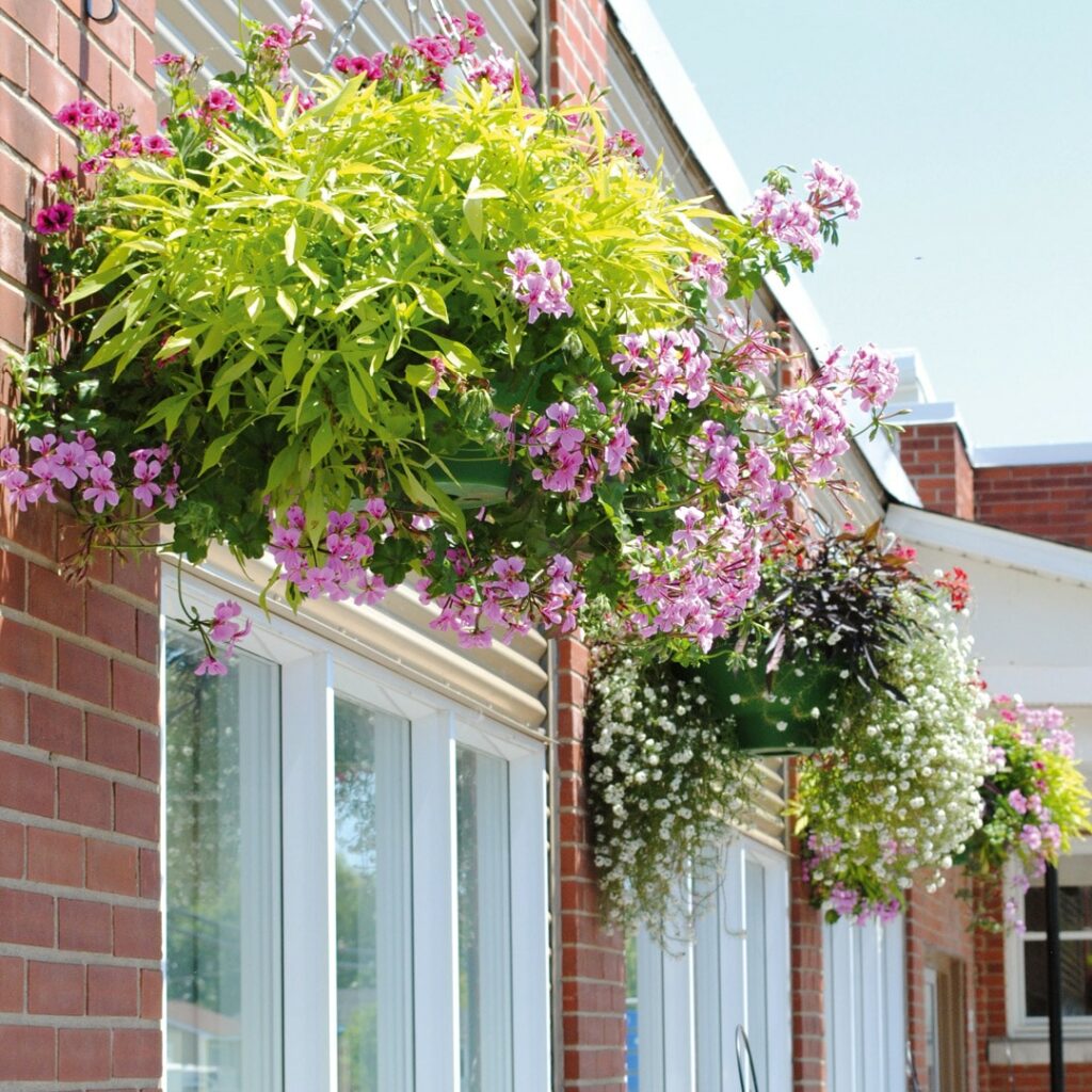 Suspension plastique recyclable - Sifu®