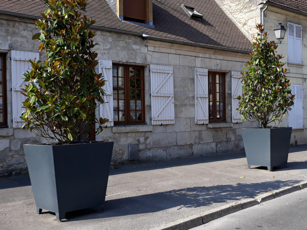 Bac à plantes – Hedera