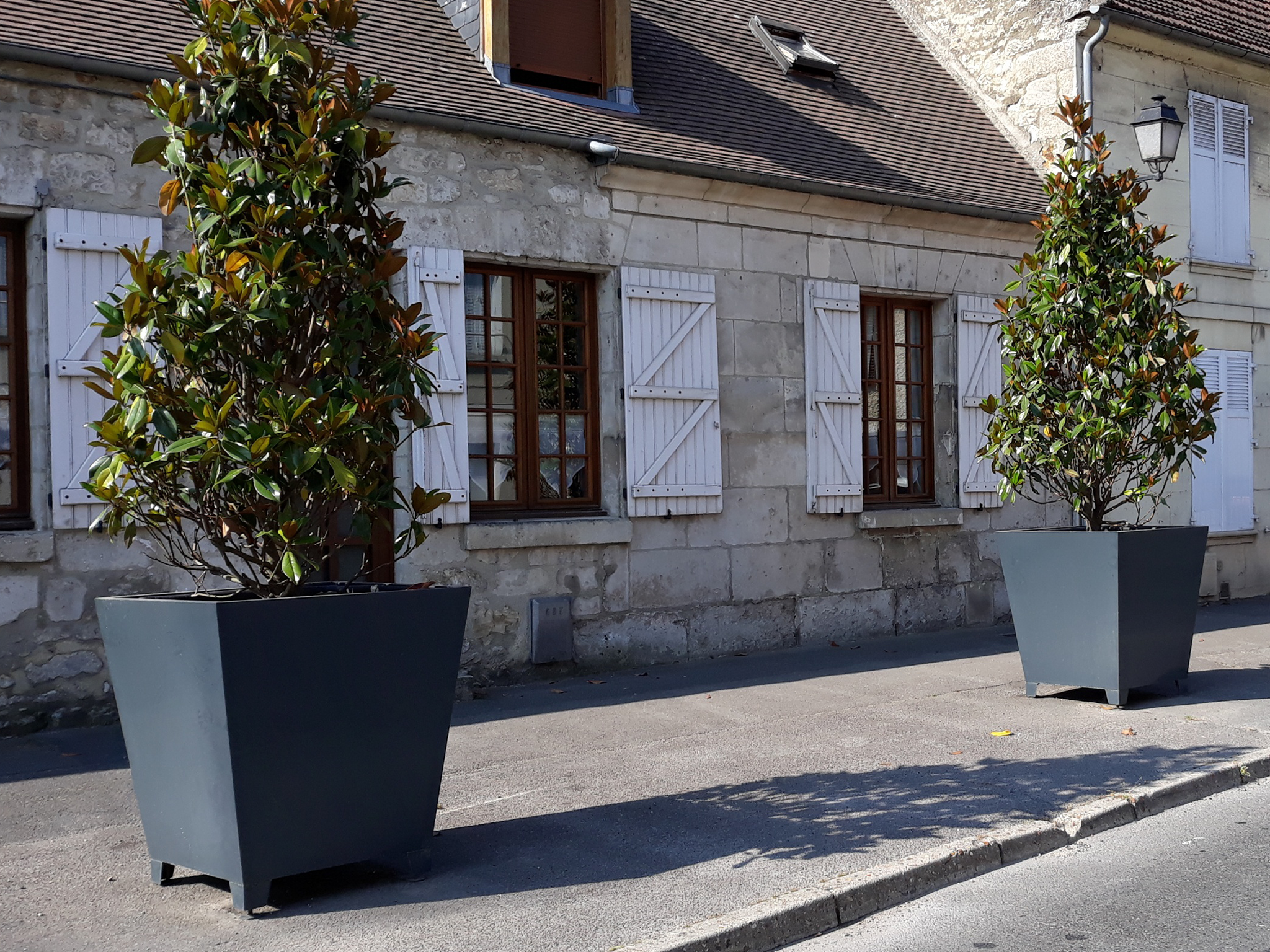Bac à plantes – Hedera