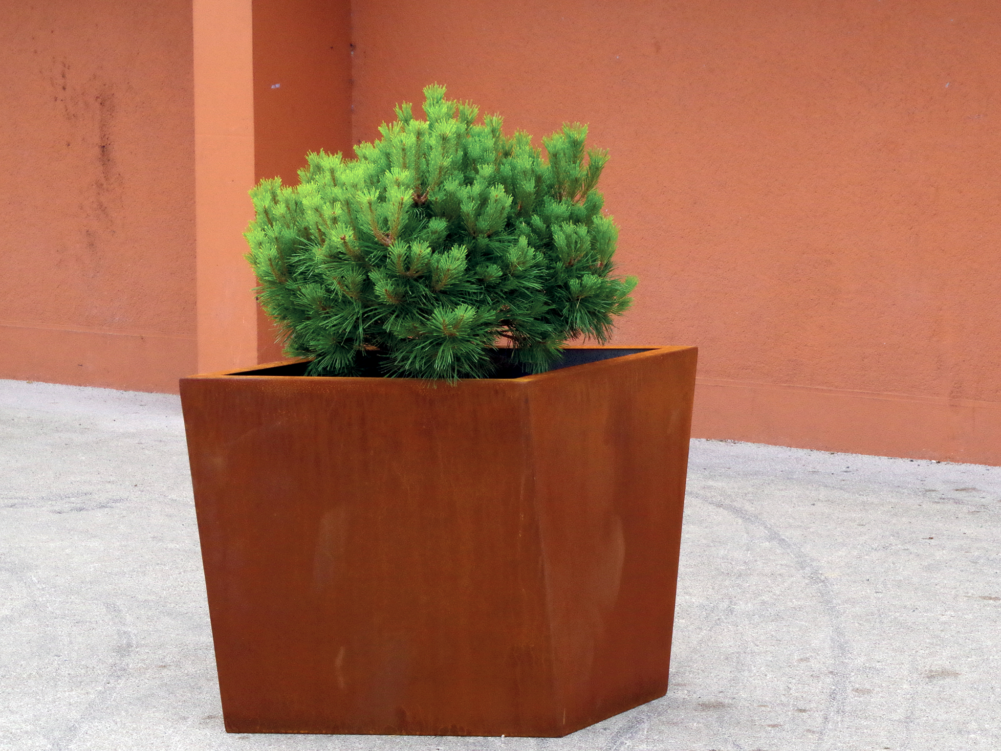 Bac à plantes design – C-Natura