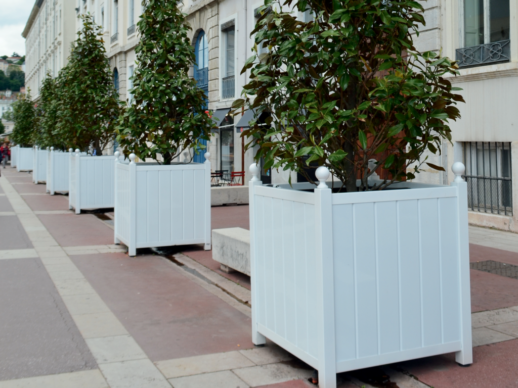 Bac d&rsquo;Orangerie – Dualis