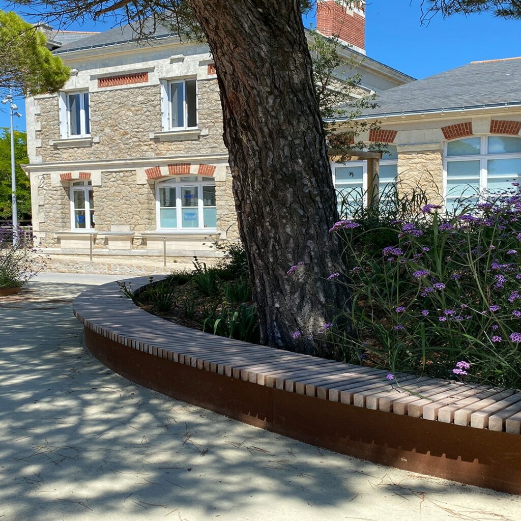 Costière - Arbre à pluie
