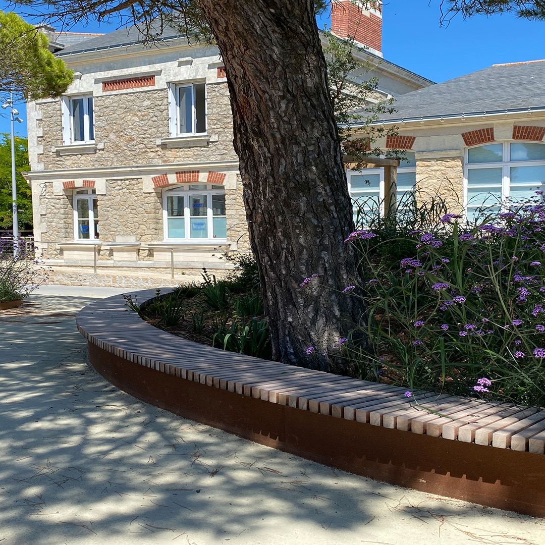 Costi&egrave;re - Arbre &agrave; pluie