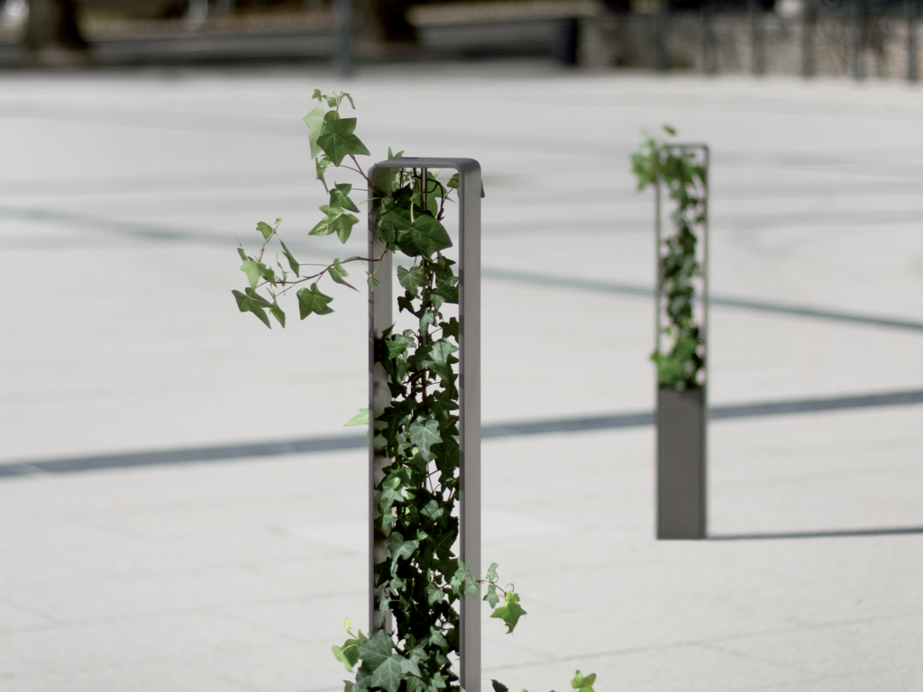 Borne – Hedera