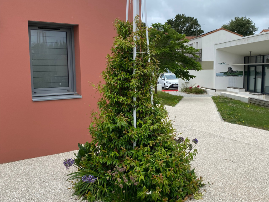 Support grimpant – Hedera